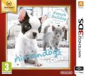 Selects Nintendogs + Cats: French Bulldog 3DS Online Hot Sale